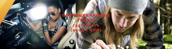PSILOCYBIN Зерноград