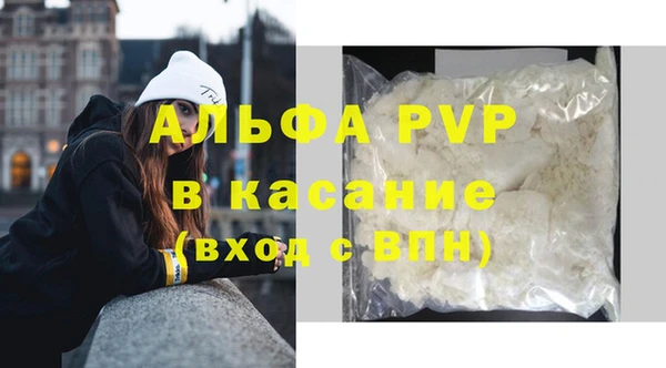 гидра Зеленокумск