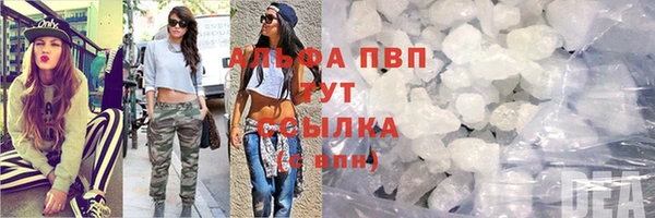 PSILOCYBIN Зерноград