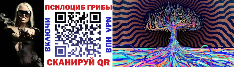 дарнет шоп  Серафимович  Галлюциногенные грибы Psilocybine cubensis 